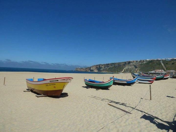 Holiday home Casal Riquezo T2-1.o- Serra Da Pescaria - *